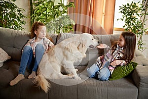 Beautiful purebreed dog, sand color American retriver lying on sofa with two kids, little girls in casual style clothes