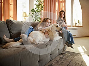 Beautiful purebreed dog, sand color American retriver lying on sofa with two kids, little girls in casual style clothes