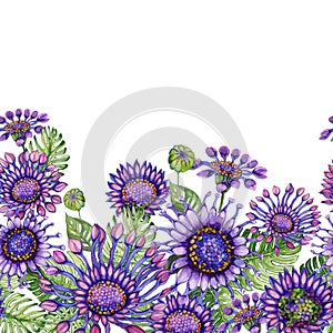 Beautiful purple African daizy flowers with exotic leaves on white background. Seamless floral pattern.