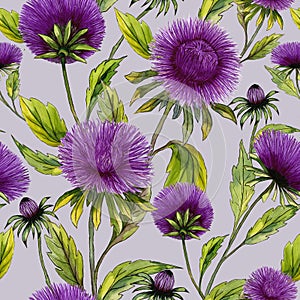 Beautiful purple aster flowers with green leaves on light lilac background. Seamless floral pattern. Watercolor painting. photo