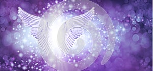 Beautiful purple blue sparkle Angel Wings Message Board