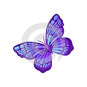 Beautiful purple butterfly with blue pattern on wings. Vector icon of flying insect. Element for card, notebook cover or