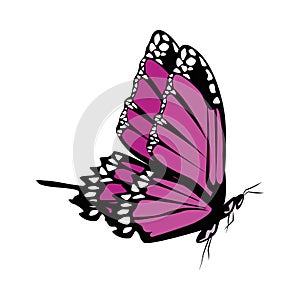 Beautiful purple butterfly flying isolated icon