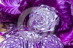 Beautiful purple cabbage