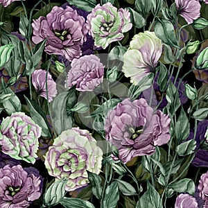 Beautiful purple and chartreuse eustoma flowers lisianthus with leaves and closed buds. Seamless floral pattern. photo
