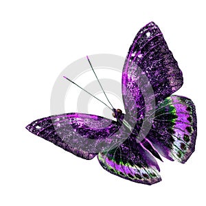 Beautiful purple and green flying butterfly isolated on white ba