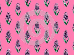 Beautiful purple hyacinth with the effect of a watercolor drawing. Isolated flower on pink background pattern.