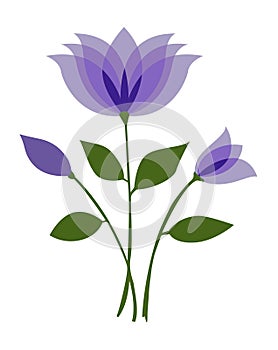 Beautiful purple lotus flower with leaves and buds isolated on white background - vector