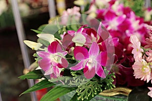 Beautiful purple orchid bouquet for offering Buddha.