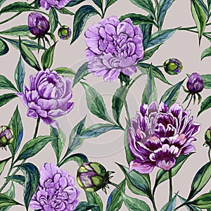 Beautiful purple peony flowers with green leaves on beige background. Seamless floral pattern. Watercolor painting.