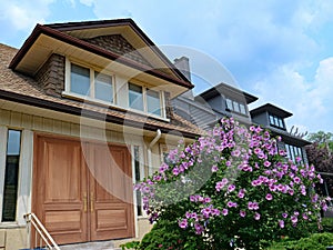 Beautiful purple Rose of Sharon bush and house with elegant wooden double front door