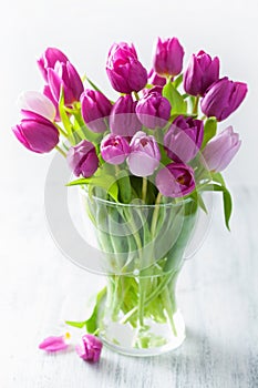 Beautiful purple tulip flowers bouquet in vase