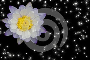 Beautiful purple-white lotus flower with glitter star light isolated on black background