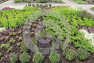 Beautiful `Quilted Garden` a focal point, Cleveland Botanical Gardens, Ohio, 2016