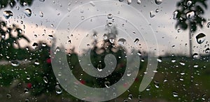 Beautiful after-rain shot of a defocused lawn from behind the glass window with silhouette of palm trees in the background.