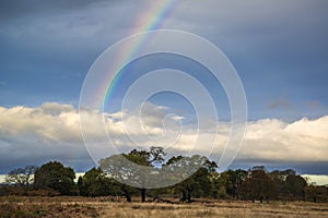 Beautiful Rainbow during Autumn Fall morning landscape over wood