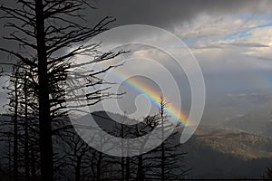 Beautiful rainbow in the mountains of New Mexico up by Ski Apache