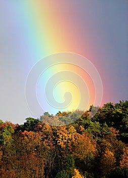 Beautiful rainbow spans colorful autumn forest 2 photo