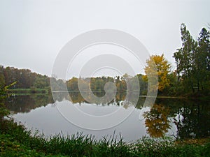 Beautiful rainy autumn view with a pond