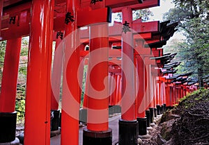 A beautiful range of traditional temple gates in a Japanese temple. Autumn background. Autumn garden