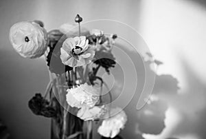 Beautiful ranunculus bouquet flower in vase black and white