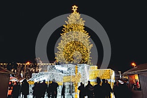 Beautiful real Christmas tree with market in Vilnius