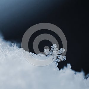 A beautiful real snowflake. Snow in nature. Macro photo in winter. Concept for Christmas and holidays