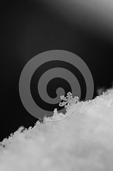 A beautiful real snowflake. Snow in nature. Macro photo in winter. Concept for Christmas and holidays