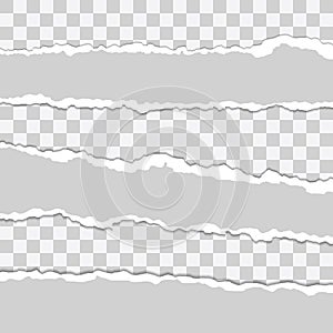 Beautiful realistic torn paper stripes vector set tamplate on transparent background photo