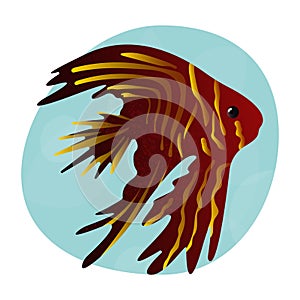 Beautiful realistic tropical betta fish