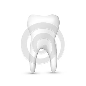 Beautiful realistic white tooth dentist vector on white background