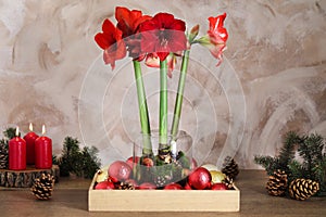 Beautiful red amaryllis flowers and Christmas decor on wooden table