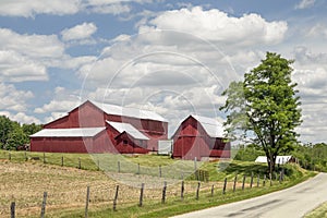 Beautiful Red Barns in the Indiana Countryside