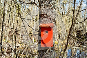 a beautiful red bird house in a tree in the park