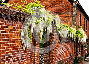 Beautiful red brick wall