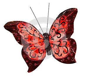 Beautiful red butterfly on white