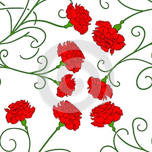 Beautiful red carnation isolated Vector 3