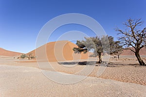 Beautiful red dune in the desert