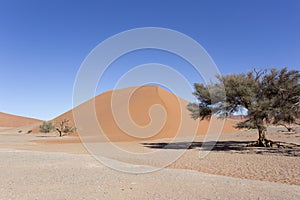 Beautiful red dune in the desert