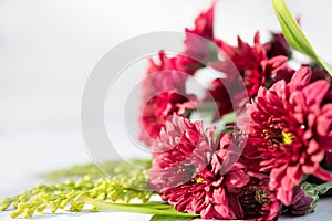 Beautiful red fresh chrysanthemum flowers boquet on white wooden