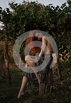 Beautiful red-haired sexy woman in a vineyard in the rays of the setting sun. Romantic, gentle feminine image.