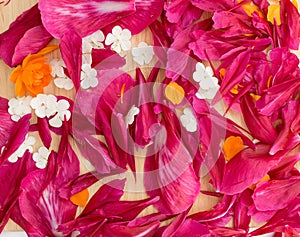 Beautiful red peony petals background or texture top view