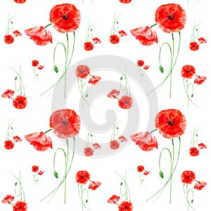 Beautiful red poppies. Watercolor illustration isolated on white background.Seamless pattern