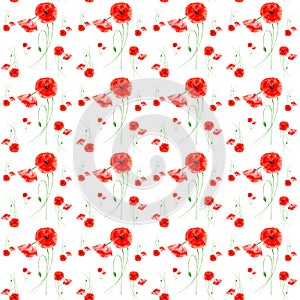Beautiful red poppies. Watercolor illustration isolated on white background.Seamless pattern