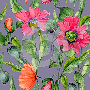 Beautiful red poppy flowers with green leaves on gray background. Seamless floral pattern. Watercolor painting.