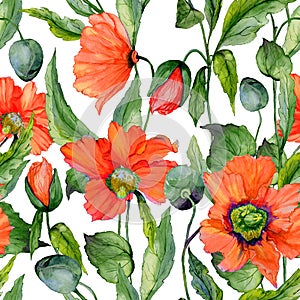 Beautiful red poppy flowers with green leaves on white background. Seamless vivid floral pattern. Watercolor painting.