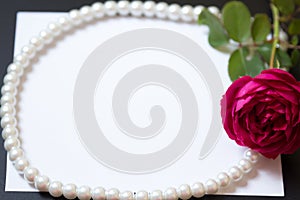 Beautiful red rose with pearls on blank white sheet paper