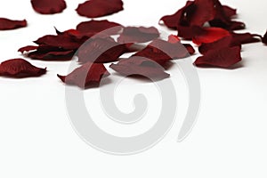 Beautiful red rose petals