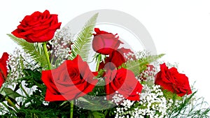 Beautiful Red Roses Rosaceae Rosoideae Rosa Arranged with White Baby`s Breath for Valent photo