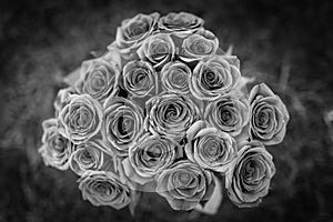 Beautiful red roses bouquet in black and white, love and romantic background